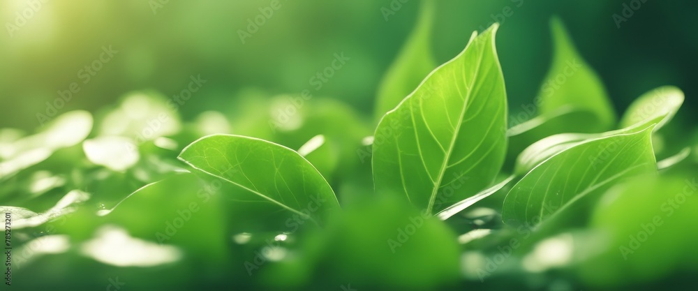 Light green shiny summer leaves abstract motion design Light green shiny summer leaves abstract motion design