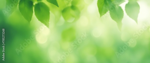 Light green shiny summer leaves abstract motion design