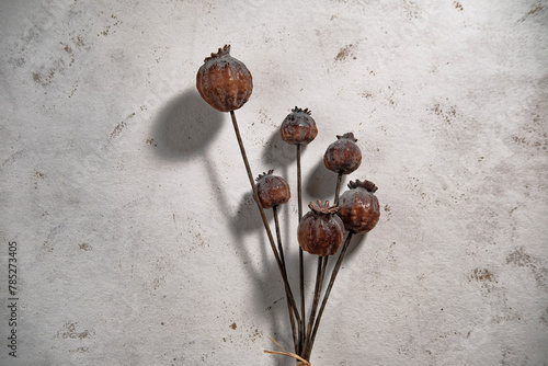Canvas Print bunch of opium poppies on white background, high addictive illegal plants
