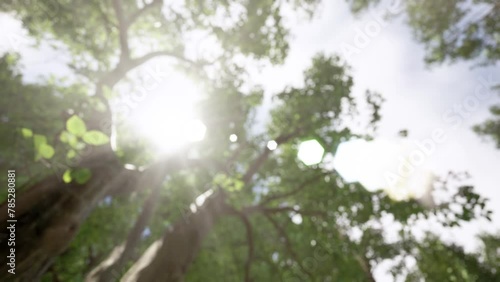 Rays of sunlight in the forest. Sun shining through trees in mountain forest. Beauty of nature. 3D animation. Environment, climate change concepts.