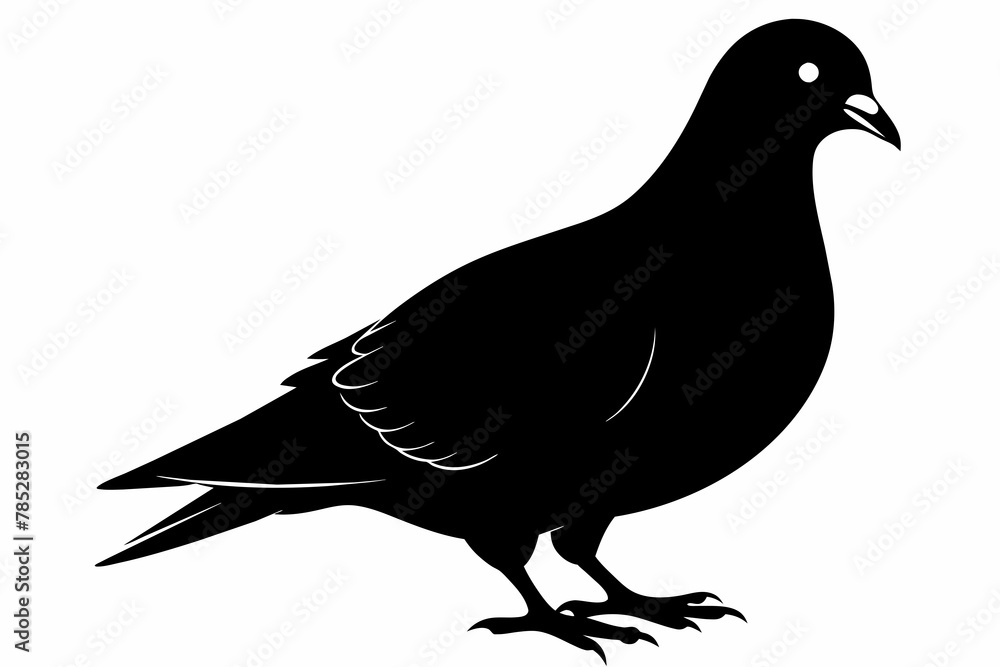 Obraz premium pigeon black silhouette vector 