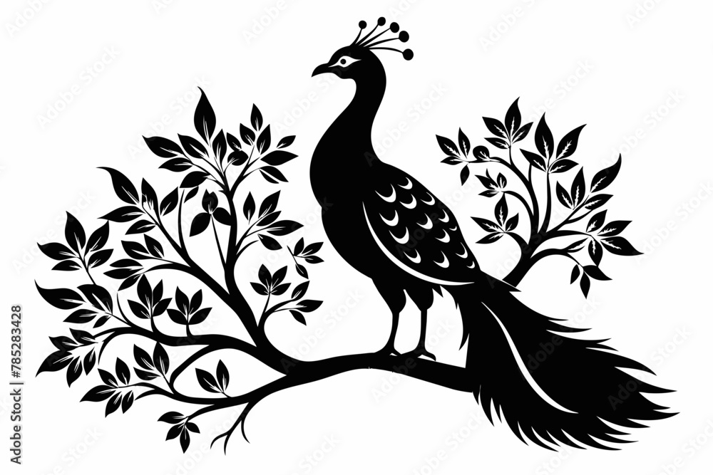 Fototapeta premium Captured a Captured a Peacock bird on a tree. silhouette black on white background bird on a tree