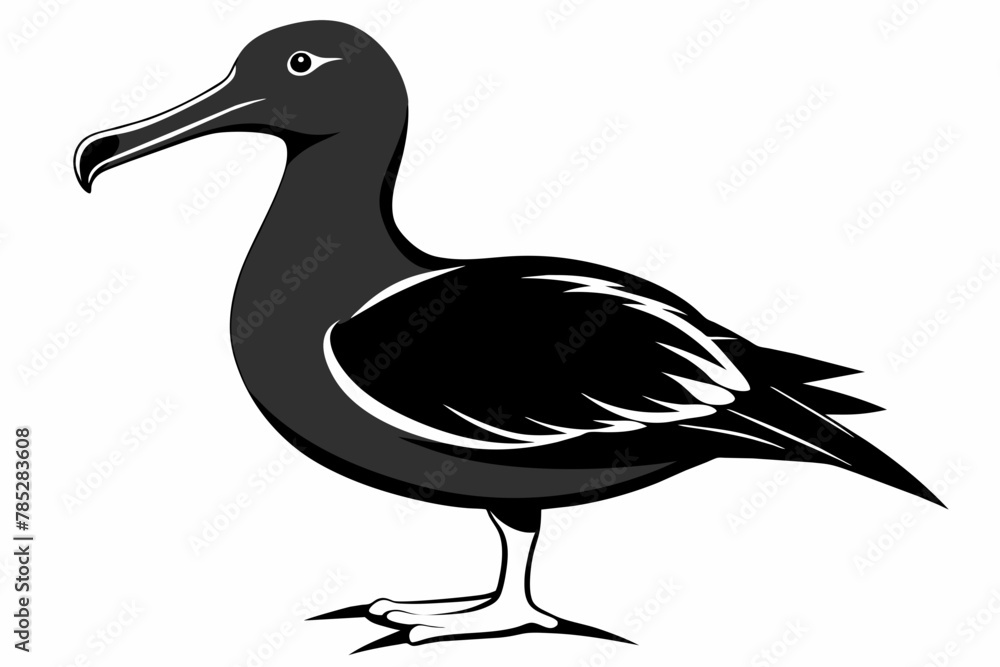 Obraz premium Albatross silhouette on white background 