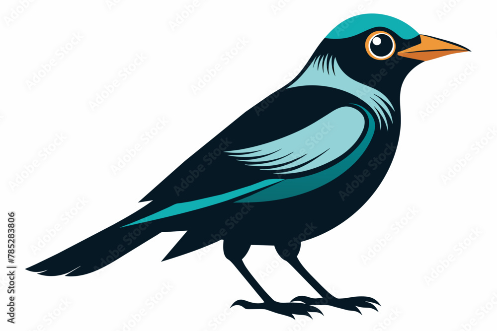 Fototapeta premium Broadbill silhouette vector style