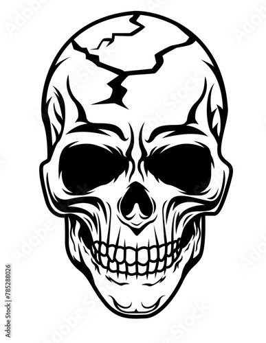Human Skull Head | Skeletal Head | Skull | Human Head | Skeleton | Dead Remains | Cracked Head Skull | Halloween | Original Illustration | Vector and Clipart | Cutfile and Stencil