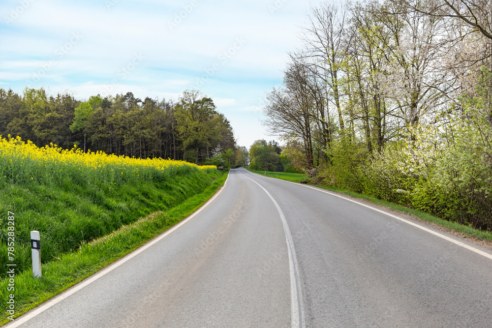 Asphalt road and floral field of yellow flowers.