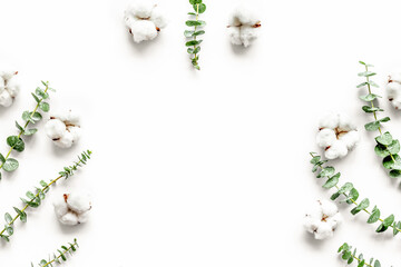 Flowers border with green eucalyptus branches and dry cotton flowers on white background top view copy space