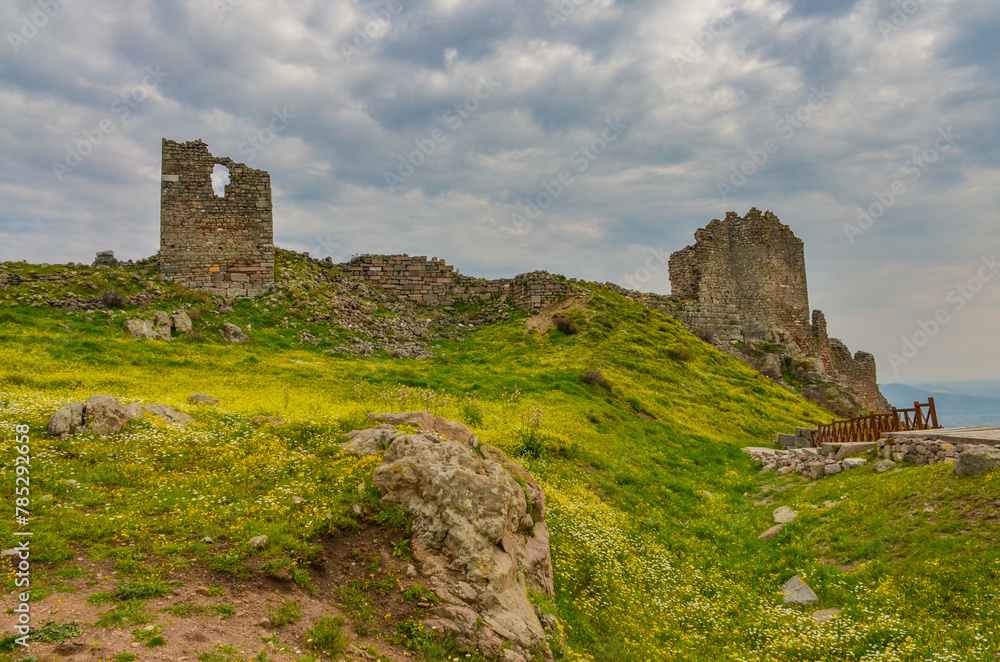 Arsenal ruins and flower meadow on top of Pergamon Acropolis (Bergama, Izmir province, Turkiye)