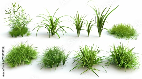 a set of 3d green bushes of greenery of different sizes and sizes on a white background with a shadow
