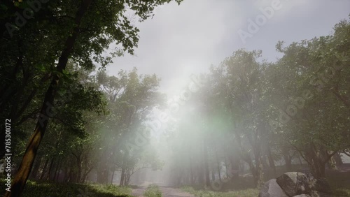 3D animation of a path in the forest with lots of fog. The sun softly illuminates the scene which is made up of grass, small stones, twigs and foliage. Environment concept.	