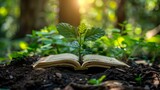 Nature's Legal Symphony: Echoes of Green Wisdom. Concept Environment Conservation, Legal Advocacy, Green Initiatives, Nature Preservation, Conservation Legislation