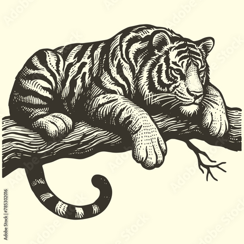 Fototapeta Naklejka Na Ścianę i Meble -  cunning tiger on a tree branch illustration