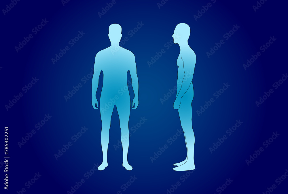 Human body water level Vector islolated in blue background Human body water level Vector islolated in blue background