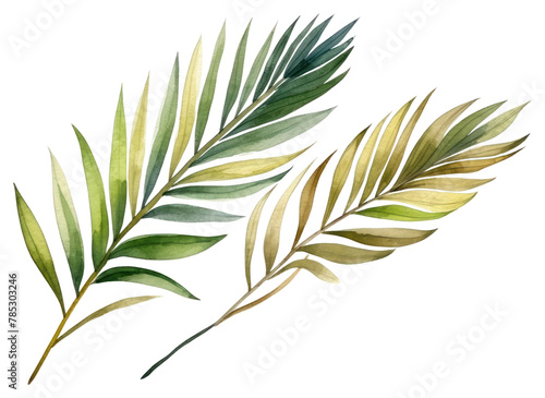 PNG Plant leaf freshness cannabis