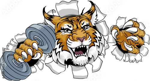 A wildcat cougar lynx lion weight lifting gym animal sports mascot holding a dumbbell weight in his claw
