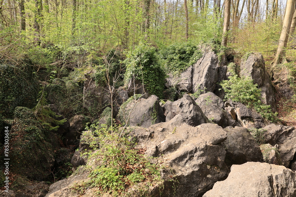 Fototapeta premium Blick auf das Felsenmeer in Hemer im Sauerland