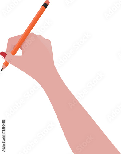 female hand holding a pencil - illustration made for use in doodle videos - good for motion design (ID: 785304413)