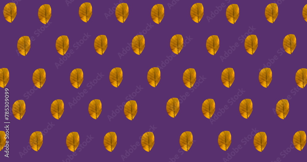 Fototapeta premium Image of multiple orange autumn leaves on purple background