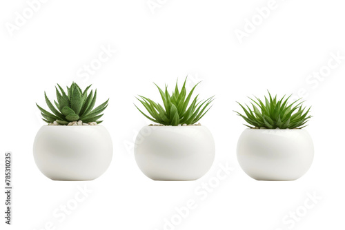 Serenity Trio  Three White Vases Adorned With Lush Plants. On a White or Clear Surface PNG Transparent Background.