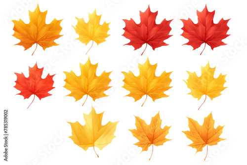 Kaleidoscope of Autumn: Variegated Leaves Dance on White Canvas. On a White or Clear Surface PNG Transparent Background.