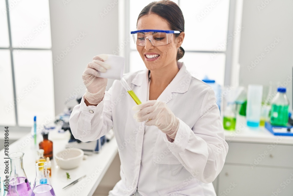 Young beautiful hispanic woman scientist holding test tube working at laboratory Young beautiful hispanic woman scientist holding test tube working at laboratory