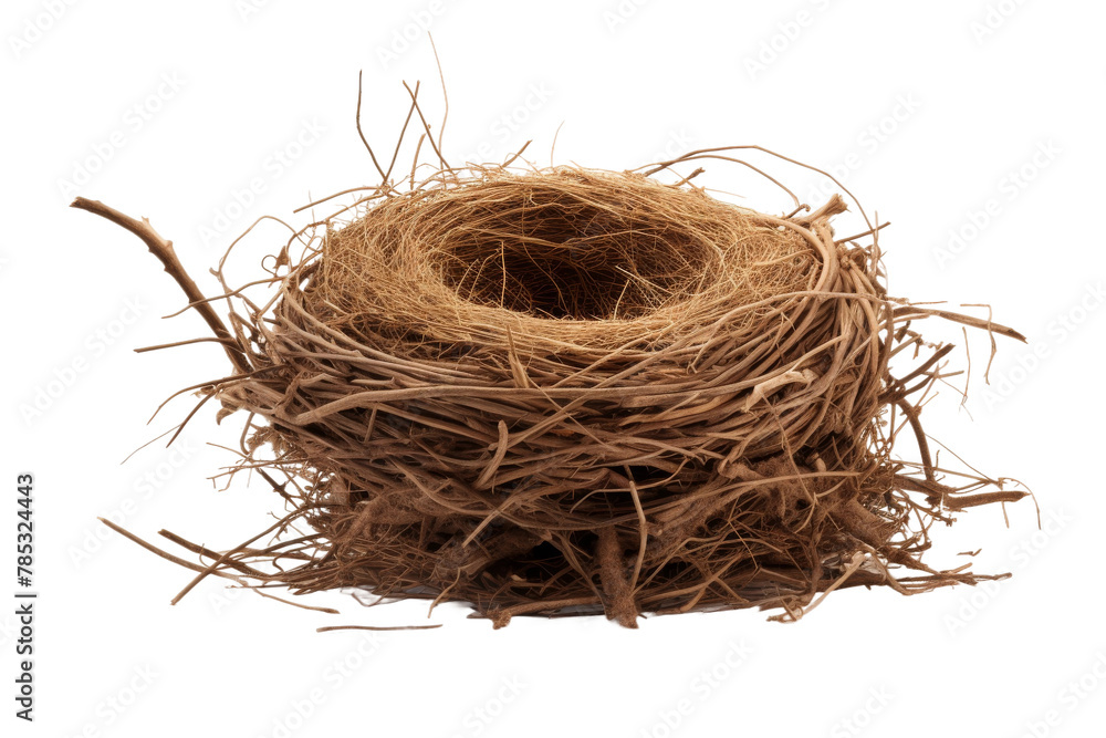 Whispers of Home: An Intimate Glimpse Into a Birds Nest. On a White or Clear Surface PNG Transparent Background. Whispers of Home: An Intimate Glimpse Into a Birds Nest. On a White or Clear Surface PNG Transparent Background.