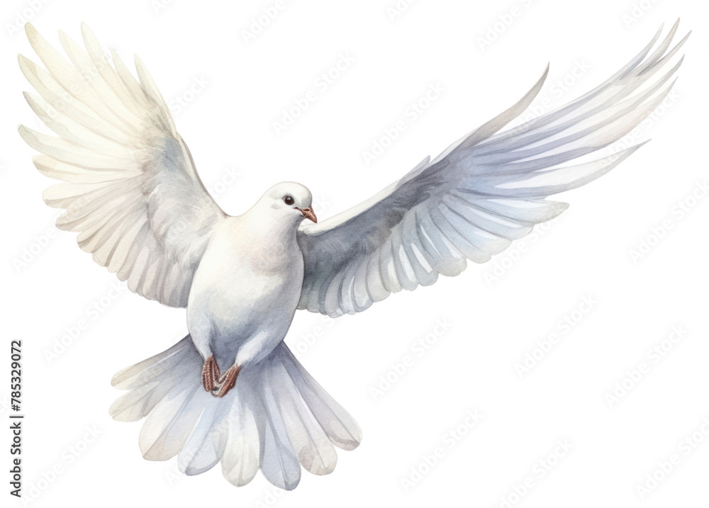 Fototapeta premium PNG Animal bird cockatoo wildlife