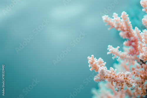 Pink coral closeup on blurred blue background