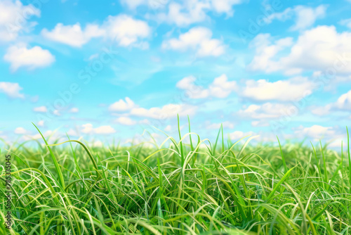 Green grass field and blue sky summer landscape background.