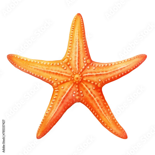 PNG Starfish animal white background invertebrate, digital paint illustration. AI generated image