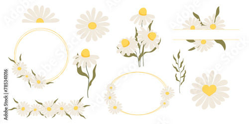 Set flower border daisy frames, floral decorations. Cute stickers, collection flowers petals, blossom with stem and leaves.