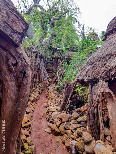 Konso Cultural Landscape,  an arid property of stone walled terraces in the Konso highlands of Ethiopia photo