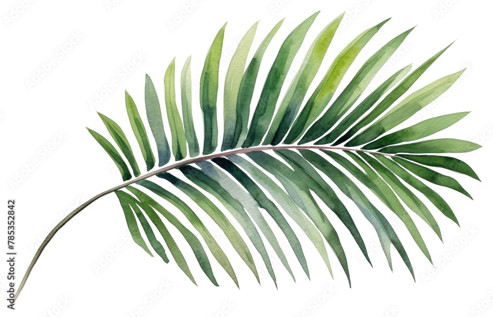 PNG Plant leaf tree freshness. PNG Plant leaf tree freshness.