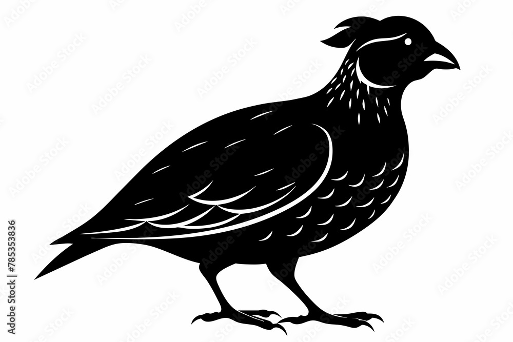 Fototapeta premium Quail vector silhouette 