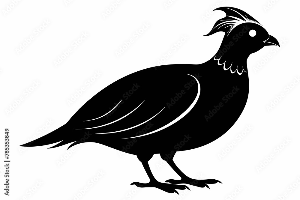 Quail vector silhouette Quail vector silhouette