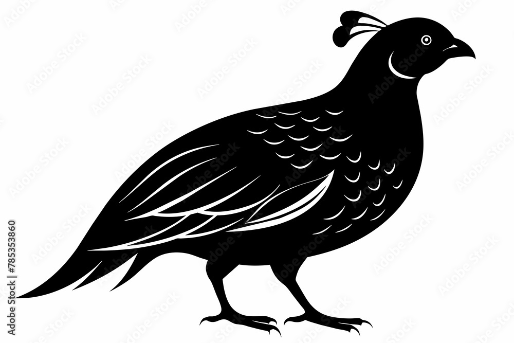 Obraz premium Quail black silhouette vector