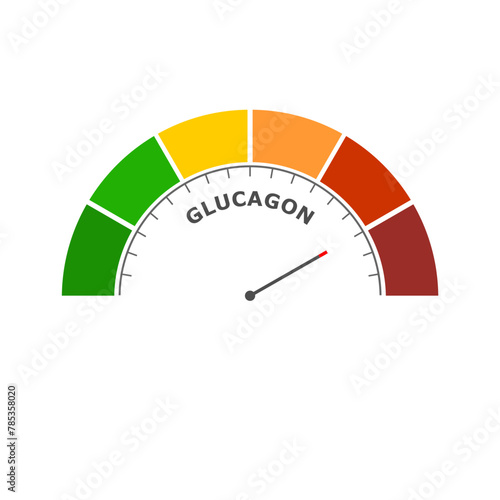 Glucagon peptide hormone bad level on measure scale. Instrument scale with arrow. Colorful infographic gauge element. Glucagon is produced in the pancreas and has the opposite effect of insulin.