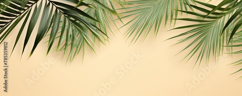 Palm leaf on a beige background with copy space for text or design. A flat lay, top view. A summer vacation concept