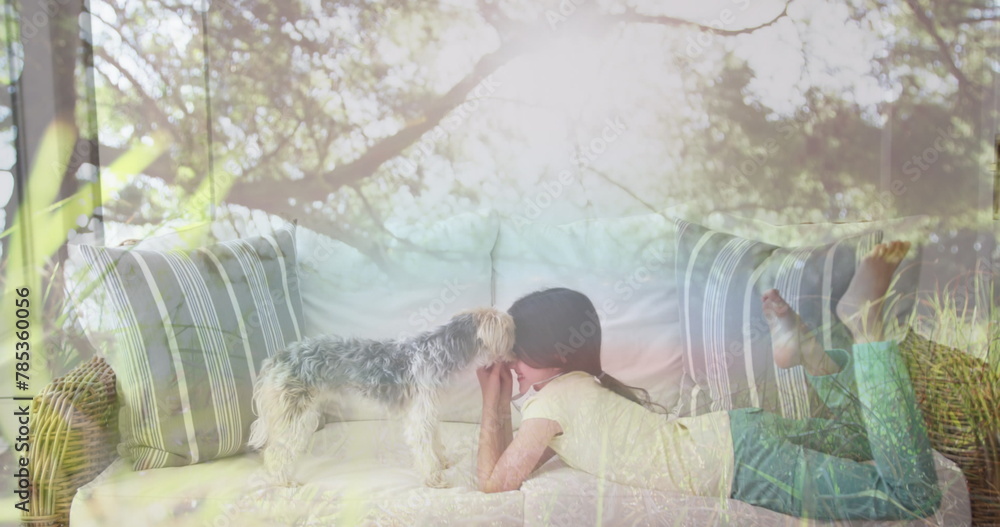 Composite image of tall trees in the forest against caucasian girl playing with her dog on the couch Composite image of tall trees in the forest against caucasian girl playing with her dog on the couch