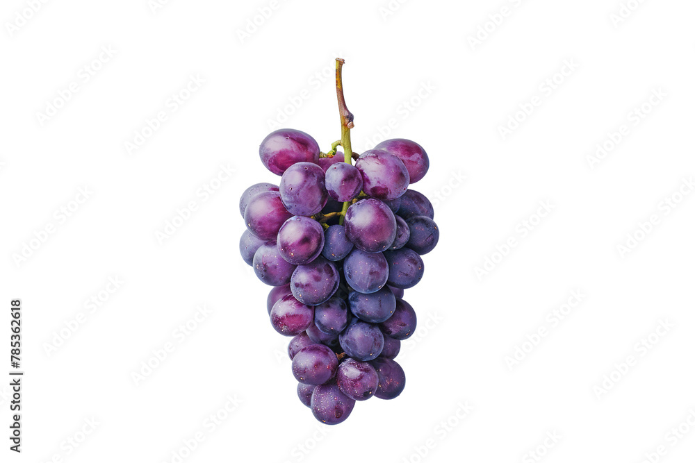 Fototapeta premium grapevine, Grapes, on isolated transparent background ,top view 