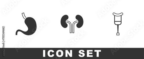Set Human stomach, kidneys and Crutch or crutches icon. Vector