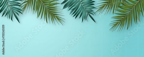 Palm leaf on a cyan background with copy space for text or design. A flat lay  top view. A summer vacation concept