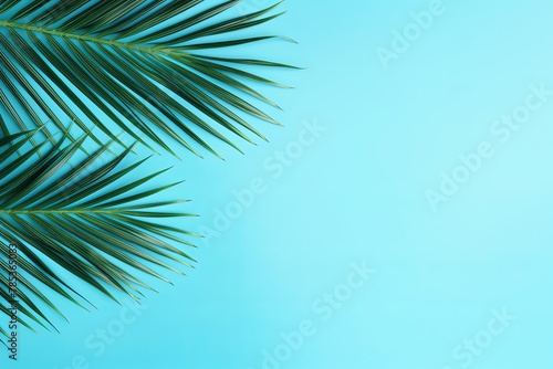 Palm leaf on a cyan background with copy space for text or design. A flat lay  top view. A summer vacation concept