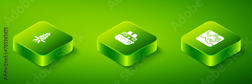 Set Isometric Cruise ship, Northern lights and Lupine flower icon. Vector