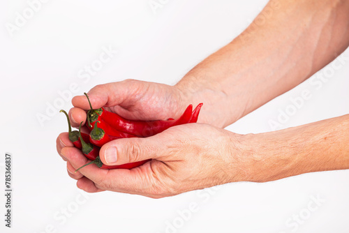 Close-up view of red chili pepper in the hands of a male cook, selective focus, isolated on white background