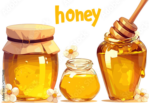 Assorted honey jars with fresh honey, flowers, and dipper. Flat vector illustration.