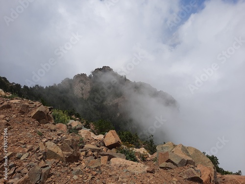 Mesmerizing natural beauty of Abha in Saudi Arabia in the summer season. High mountains, greenery, low clouds and fog are the beauty of Abha.