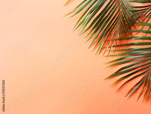 Palm leaf on a peach background with copy space for text or design. A flat lay  top view. A summer vacation concept