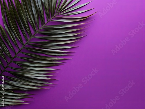 Palm leaf on a purple background with copy space for text or design. A flat lay, top view. A summer vacation concept © Celina