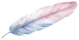 PNG Feather lightweight fragility softness